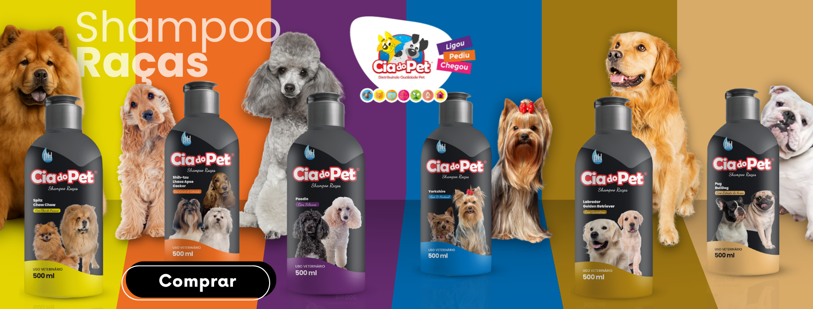 banner raças institucional