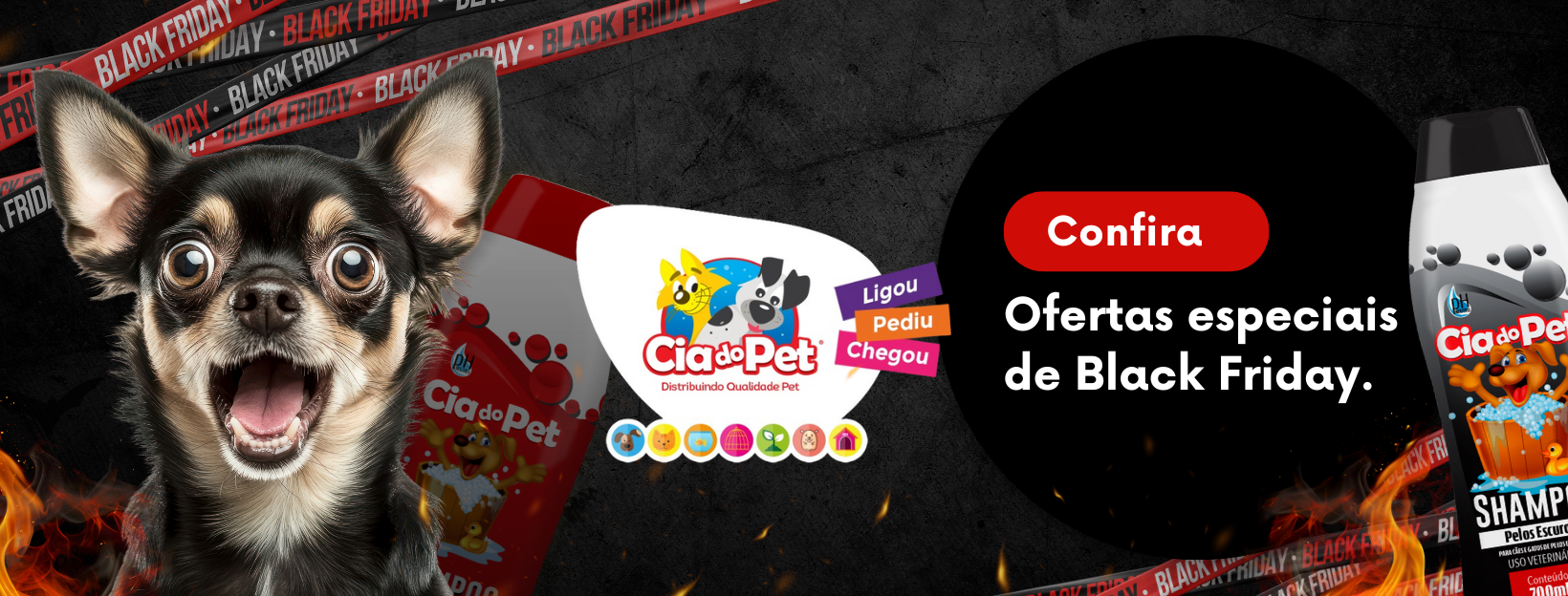 banner site 1 novembro