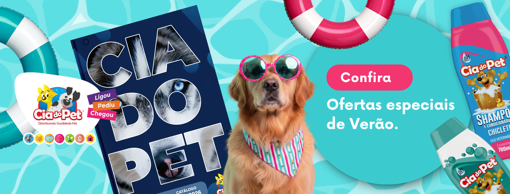 banner site 1 fevereiro